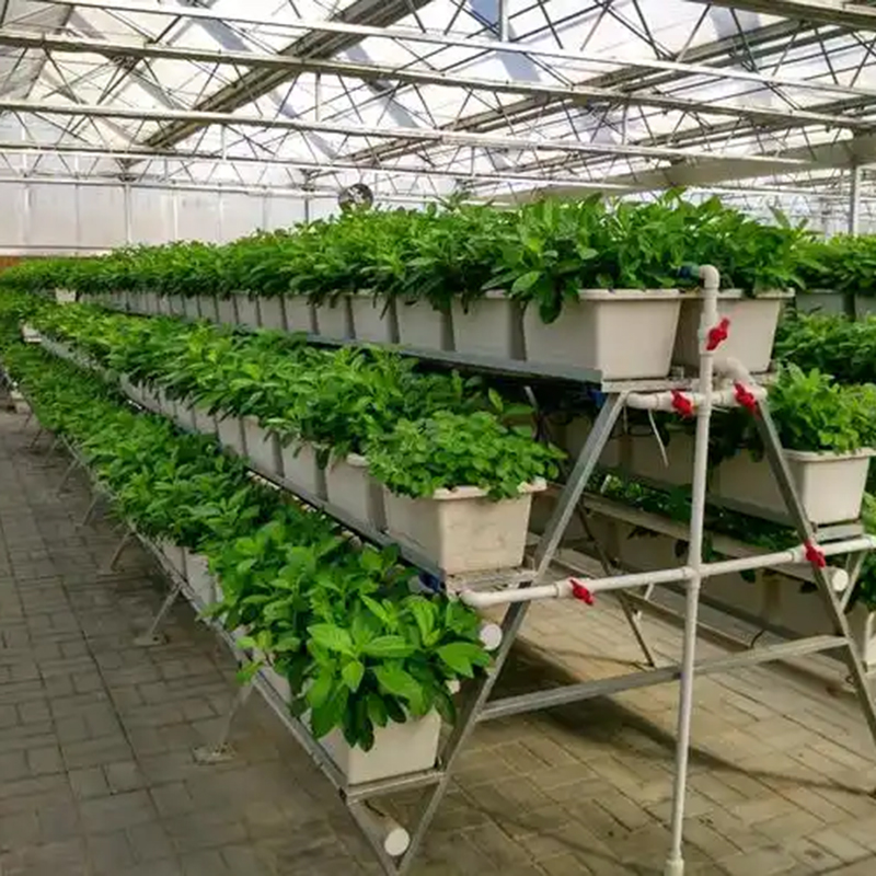 淮北市植物工厂大田灌溉 - 排名