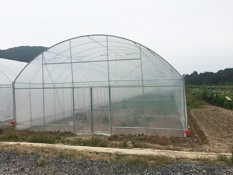 淮北市薄膜大棚薄膜大棚 - 厂家